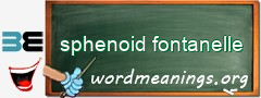 WordMeaning blackboard for sphenoid fontanelle